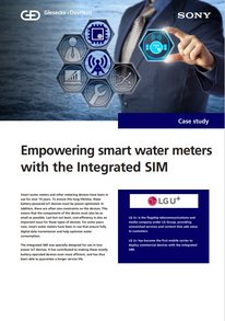 Cover of Sony case study