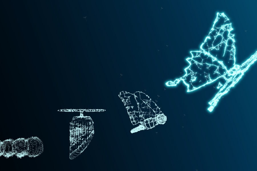 Digital lighting butterflies