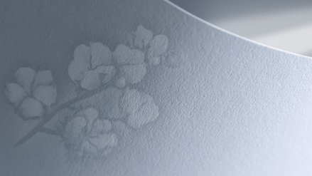 Blank banknote with a cotton bill as watermark