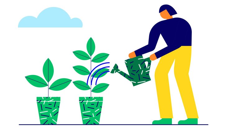 Person watering plant in planters