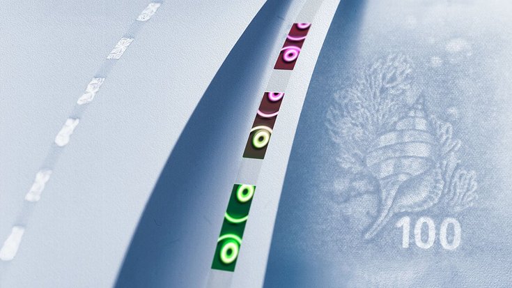 Watermark of the number 100 and a shell, next to it a security thread