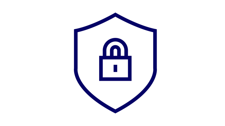 Secure Icon