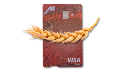 Sustainable visa card with cereal grains 