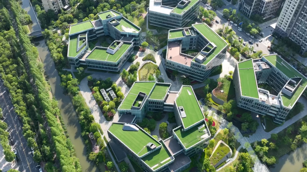 Toward sustainable cash with green factories