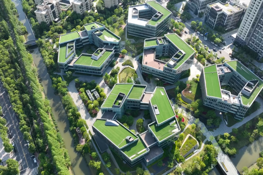 Toward sustainable cash with green factories