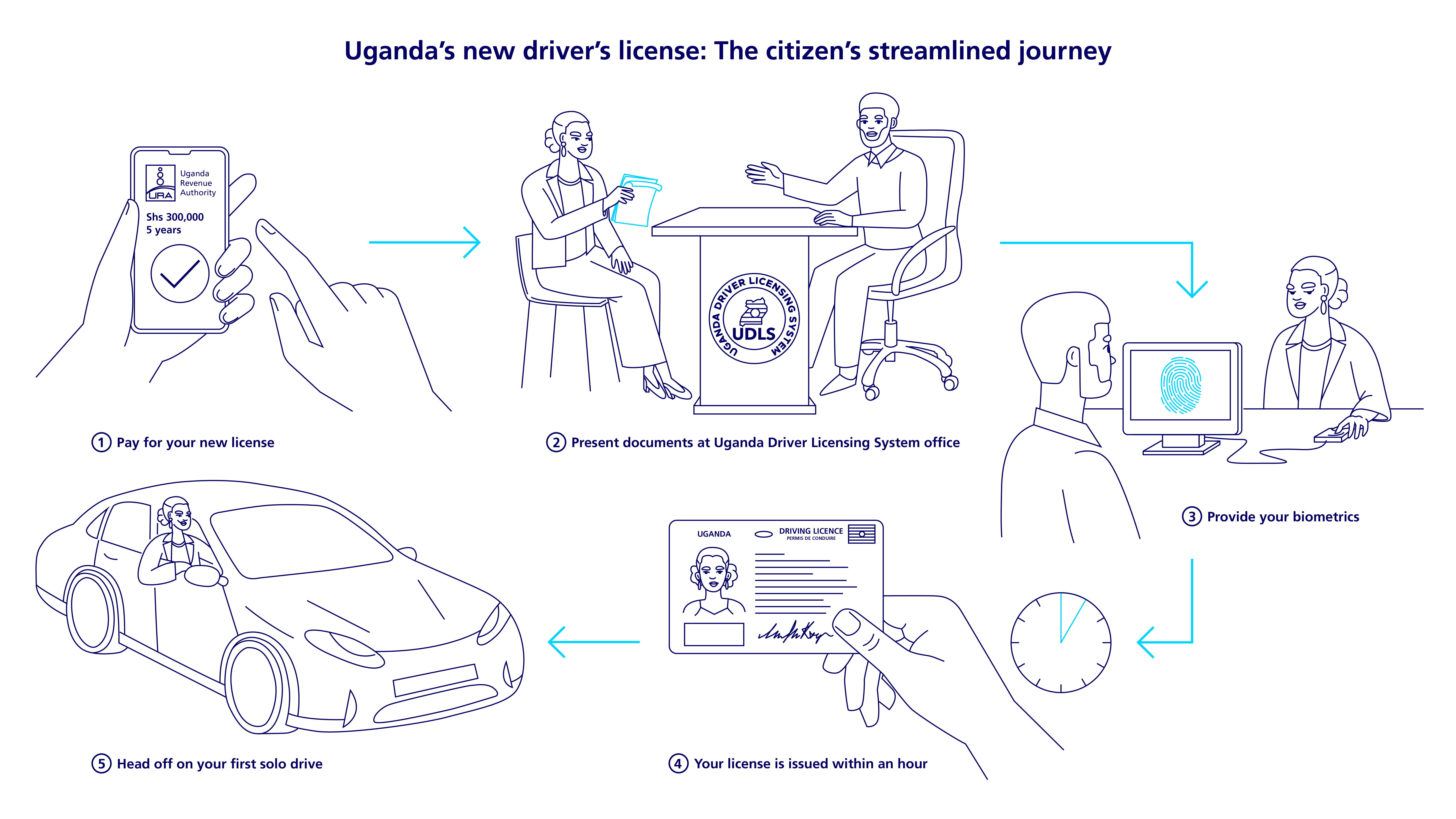 Infographic about drivers' licence issuance